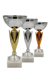 CTS 134 | SET de 3 Cupe Sportive - TrophyShop